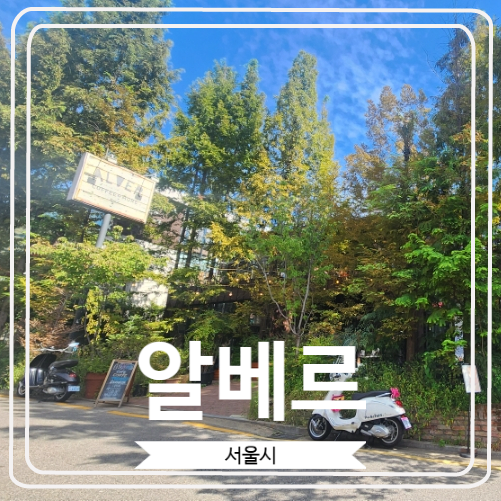  [알베르] 강남에서 쉽게 볼 수 없는 초록 초록한 대형카페