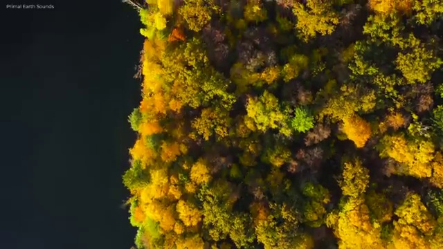  사회복지 공무원 면직 , 사회복지사2급 학력 상관없이 학점은행제 활용하여 간편하게