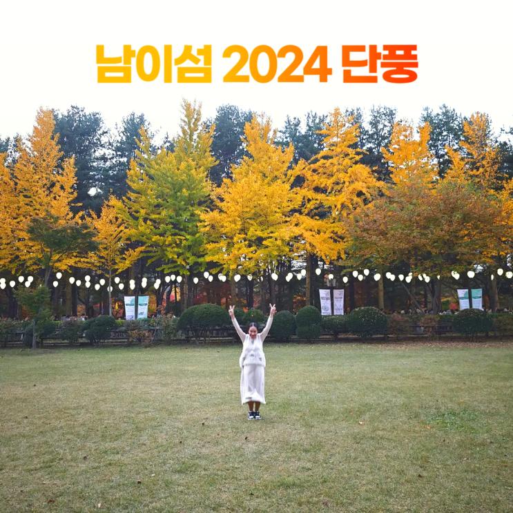 남이섬 2024 가을 단풍 구경 네이버 예약 입장 방법 남이섬 2024 가을 단풍 구경 네이버 예약 입장 방법