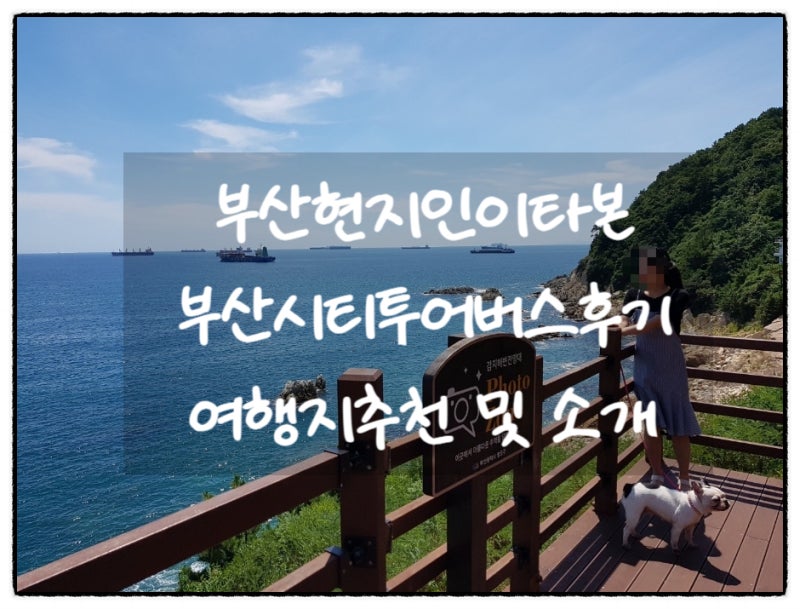 부산시티투어버스 그린라인 현지인 후기 부산 당일여행 할인