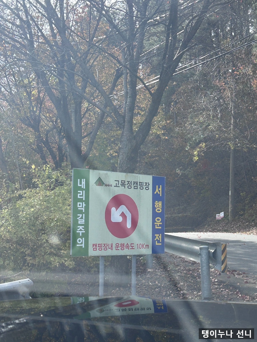 고목정 사진 4