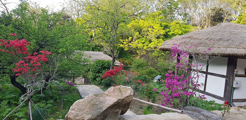 월출산방 사진 5