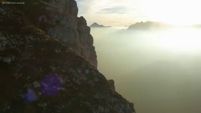  산림기사 하층식생 , 산림기사 취득자격 온라인 수업으로 편하게 완료한 전략