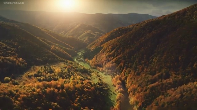  산림기사채용 , 산림기사 응시자격 학점은행제로 쉽고 빠르게 준비한 전략