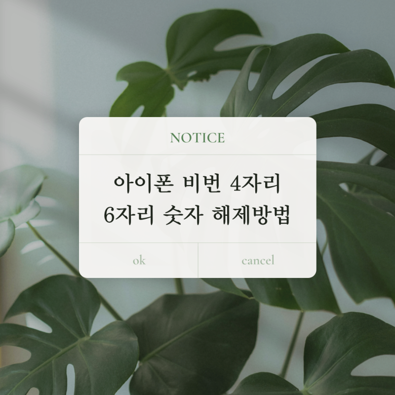 아이폰 비번 4자리 : 6자리 숫자 해제 방법