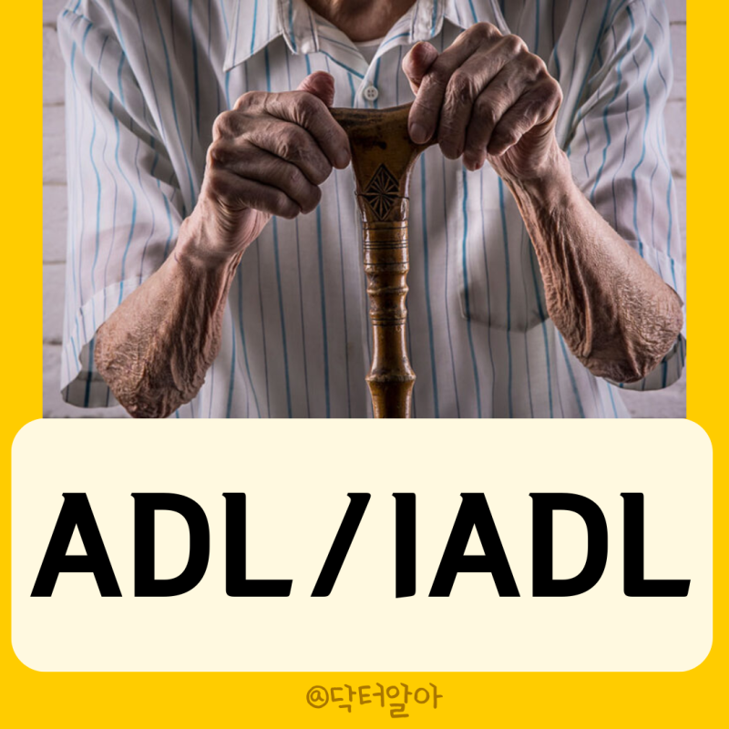 ADL IADL 노인의 일상생활 수행 능력 평가 방법 예시 사용 : 네이버 블로그
