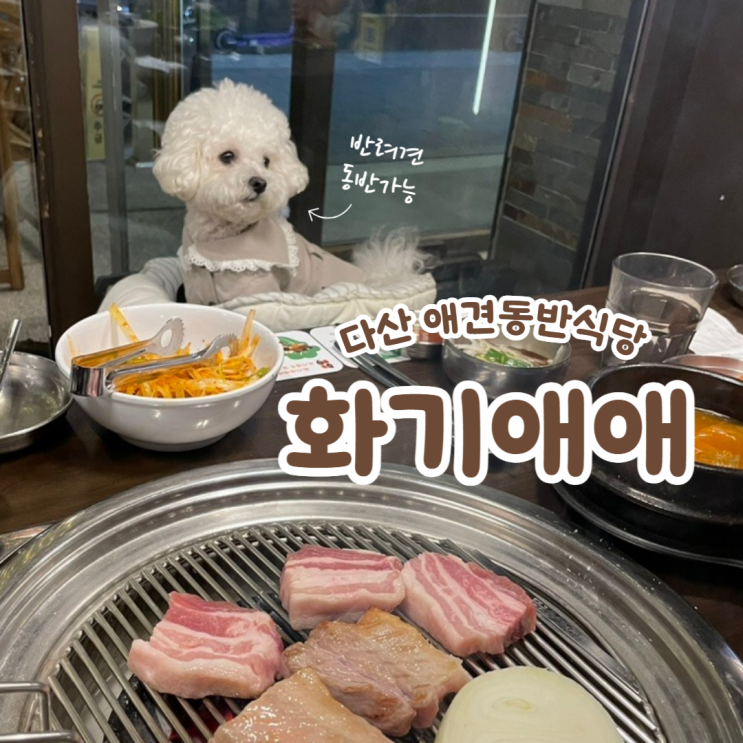  남양주 다산 애견동반식당 참숯 고기집 화기애애