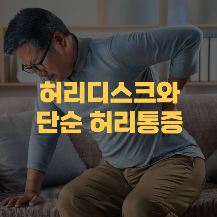 허리 디스크와 단순 허리 통증의 차이점과 관리법 허리 디스크와 단순 허리 통증의 차이점과 관리법