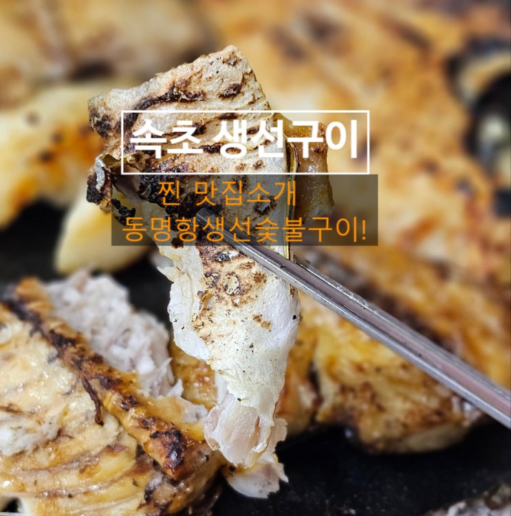  쌀쌀한 이 날씨에 땡기는 생선구이! 속초 동명항 생선구이 맛집 '동명항생선숯불구이'