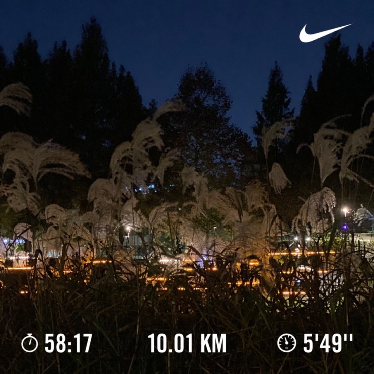 러닝로그_241110  이번 달 월누백 가능할까 10km