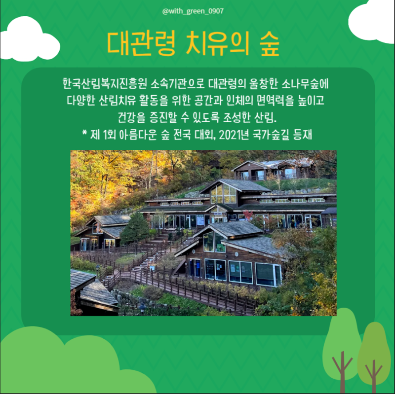 대관령 치유의 숲 이미지