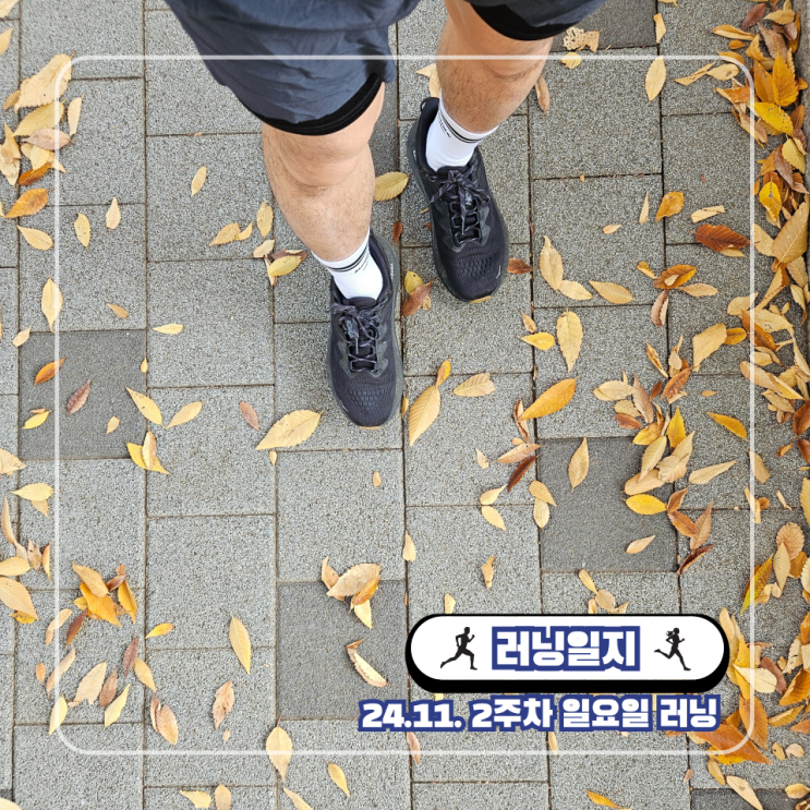  가을 마라톤 준비 손기정 마라톤 DNF 걱정 D-7