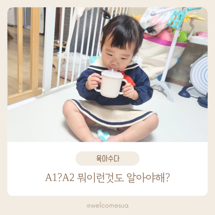  [육아]A2우유란 무엇인가 돌아기 우유 고르는법 part3