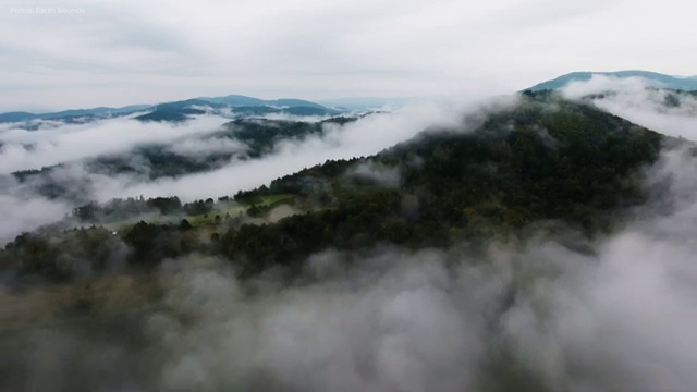  병원코디네이터 자격증 비용 , 병원코디네이터 자격증 쉽고 간편하게 취득한 정보 및 취업