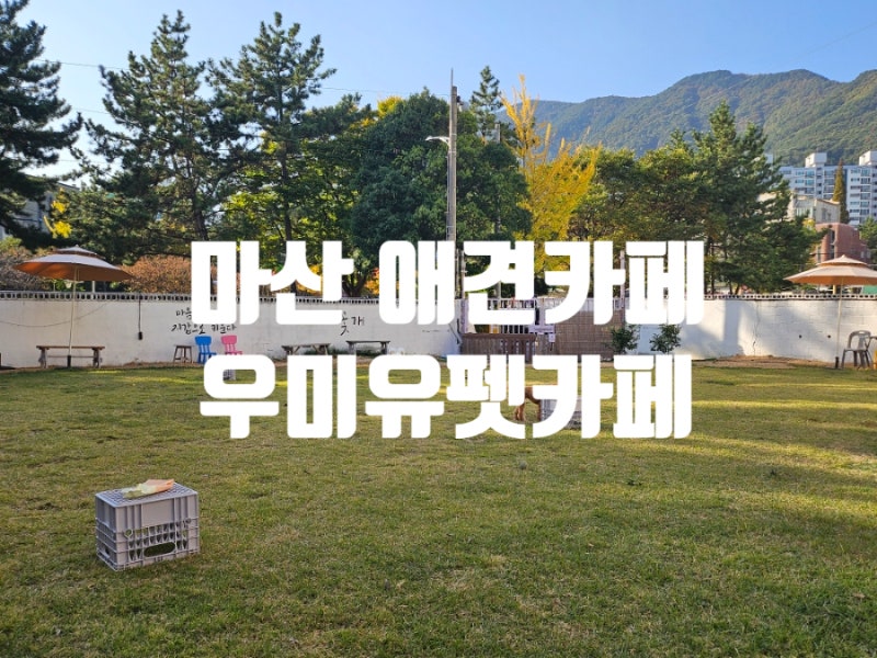 사진 2
