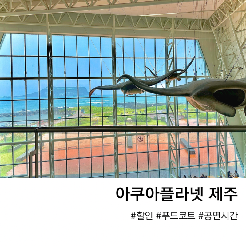 아쿠아플라넷 제주 푸드코트 메뉴, 할인 정보, 오션아레나 공연시간