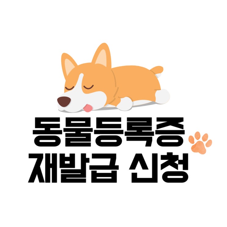  [강아지보험등록준비] 동물등록증 재발급 신청방법