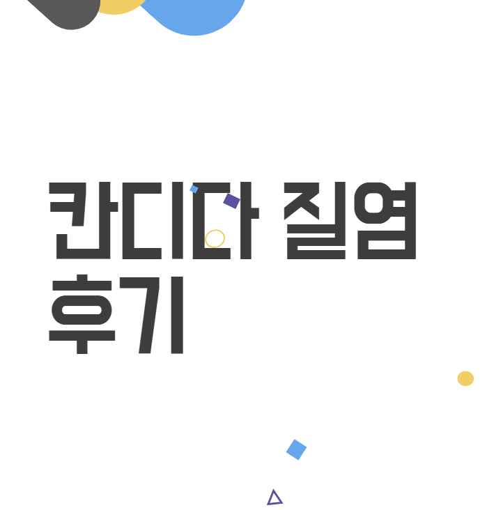 칸디다 질염 약국 약, 1년 만에 속 시원한 해결후기 칸디다 질염 약국 약, 1년 만에 속 시원한 해결후기
