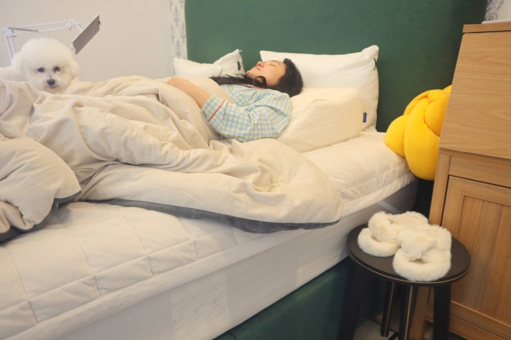  딥레스트 역류방지베개 위산 역류 완화에 도움 되는 고밀도 메모리폼 경사베개 추천!