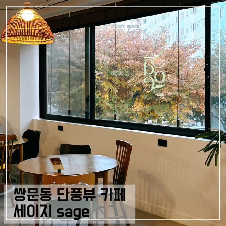  애견동반 가능한 쌍문동 단풍뷰 카페 세이지 sage; 쌍문 조용한 카페 추천