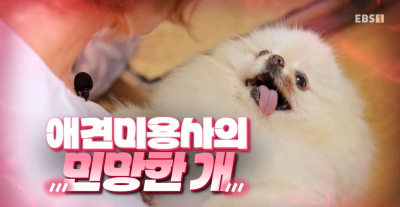 사진 2