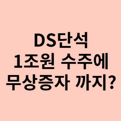  DS단석 주가, 1조원대 수주에 무상증자까지? 상한가 이유가 있구먼유