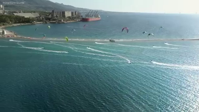  부동산토지매매수수료 , 부동산자산관리전문가 부동산자산관리사자격증 취득한 노하우 , 합격률과 난이도