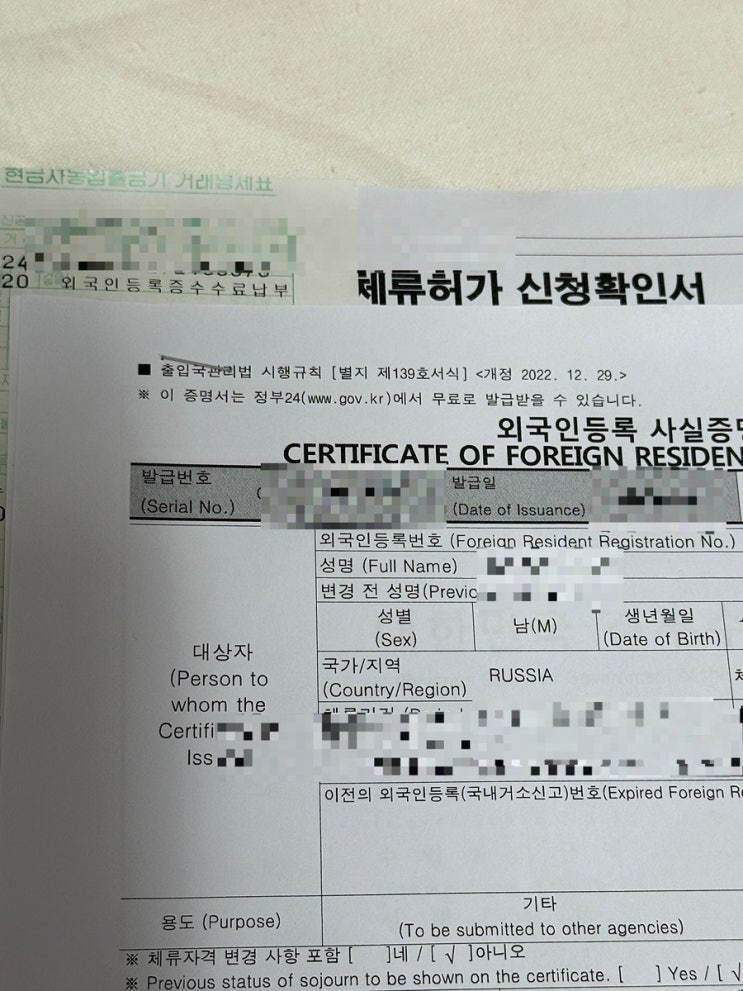  하이코리아 예약부터 비자연장까지의 모든 것!