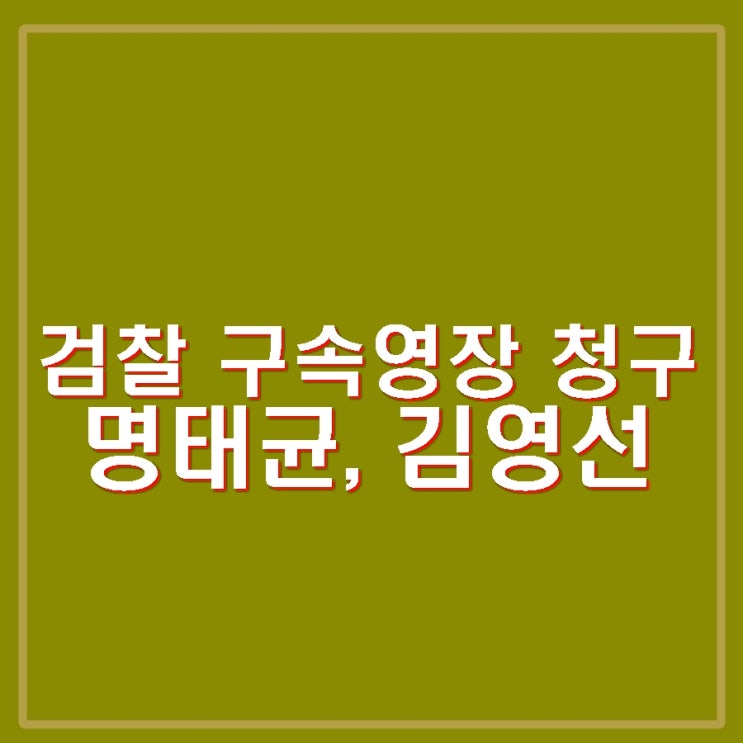 김영선 구속영장 청구. <b>정치자금법 위반</b> 혐의. 결국 그의 뜻대로.
