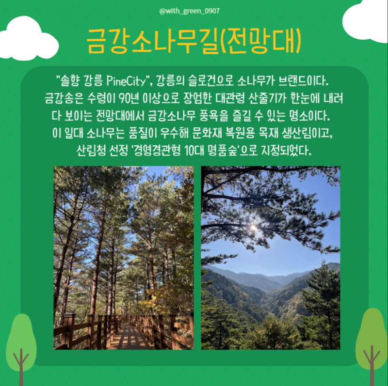 대관령 치유의 숲 이미지