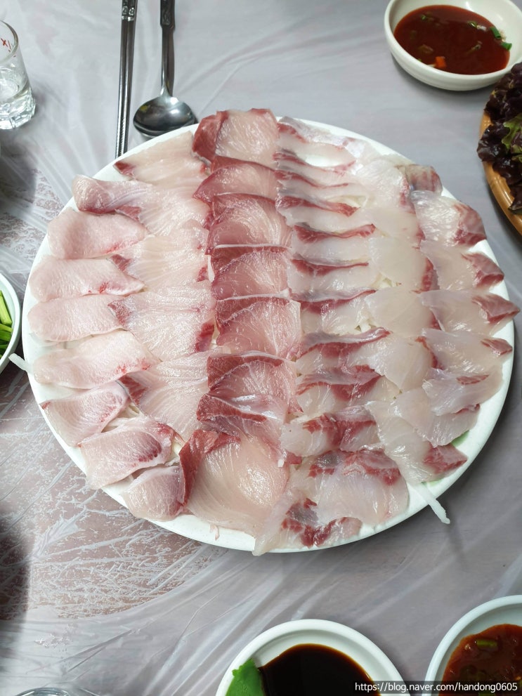  [특별편/걸어서 집까지] 국토대장정 0일차 - 부산역, 부산 최애 회·해산물 맛집 용광횟집