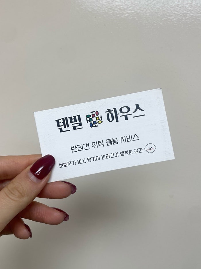 사진 3