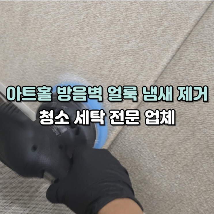  대전 청주 세종 아트홀 얼룩 냄새 청소 세탁 전문업체
