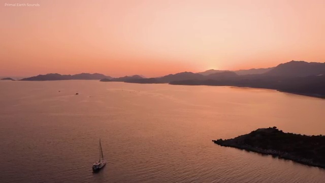  , 바리스타 자격증 20일 만에 합격한 후기 , 채용 정보