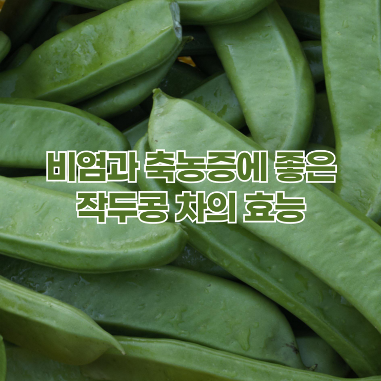  비염과 축농증에 좋은 작두콩 차의 효능 7가지와 만드는 방법