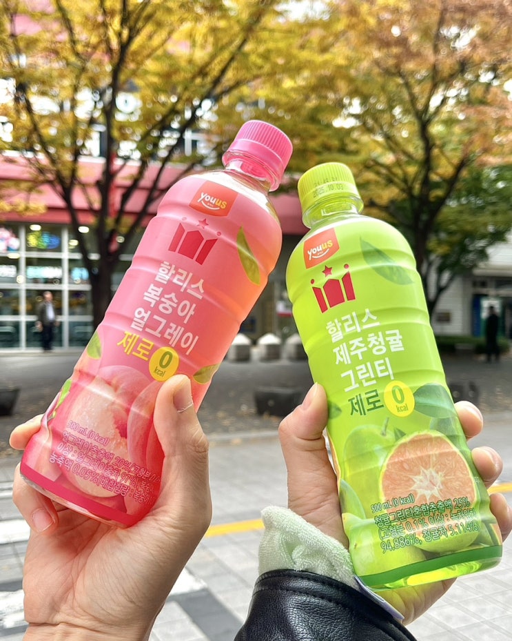  GS25 편의점 신상 제로음료 추천 할리스 복숭아얼그레이제로 제주청귤그린티제로