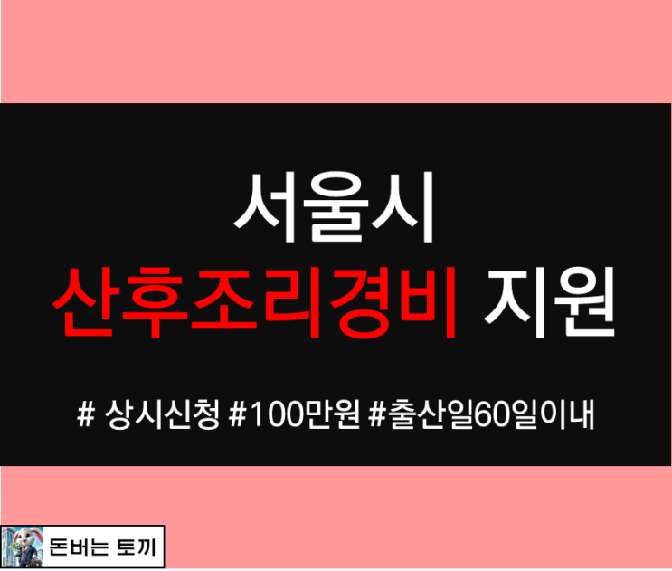  2024년 서울시 <산모 산후조리경비 지원> 신청 알아보기