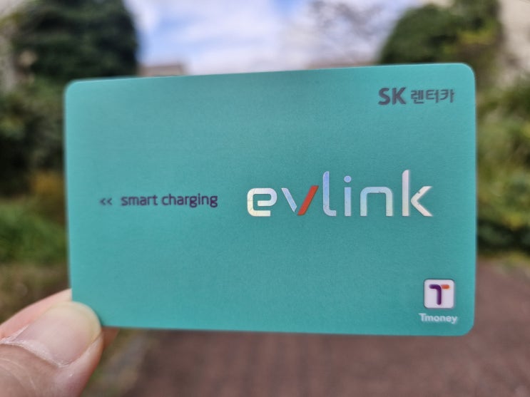  반려견과 함께했던 제주여행 약간의 팁