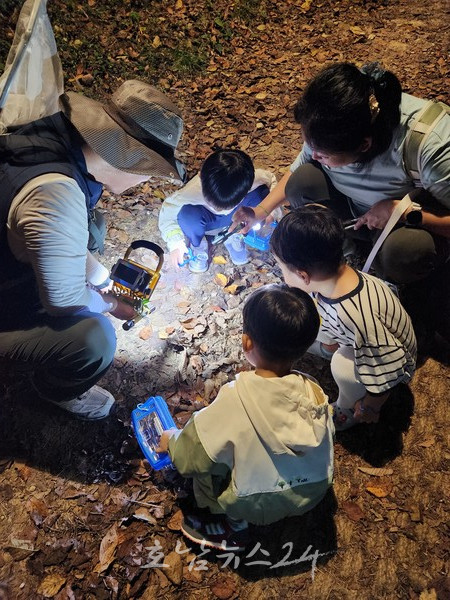  전남도, 2025년 농촌형 보육서비스 지원 전국 최다 선정