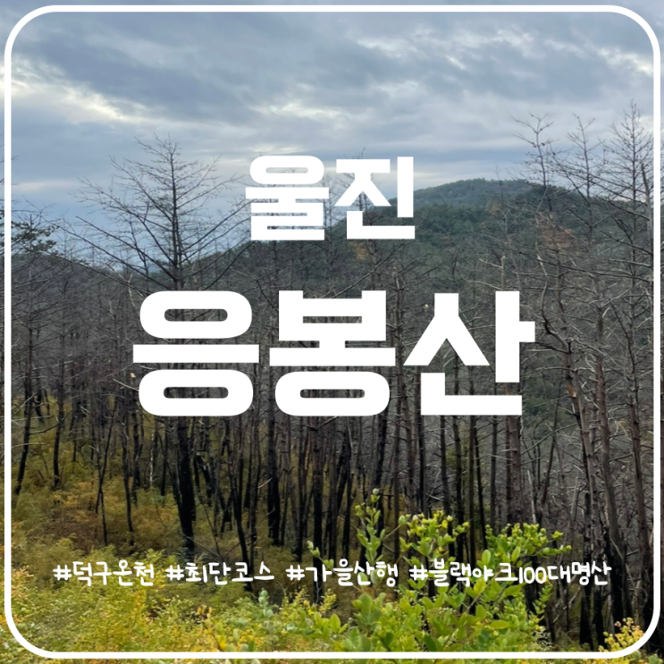 울진 응봉산 최단코스 산불의 흔적이 곳곳에 여전히 울진 응봉산 최단코스 산불의 흔적이 곳곳에 여전히