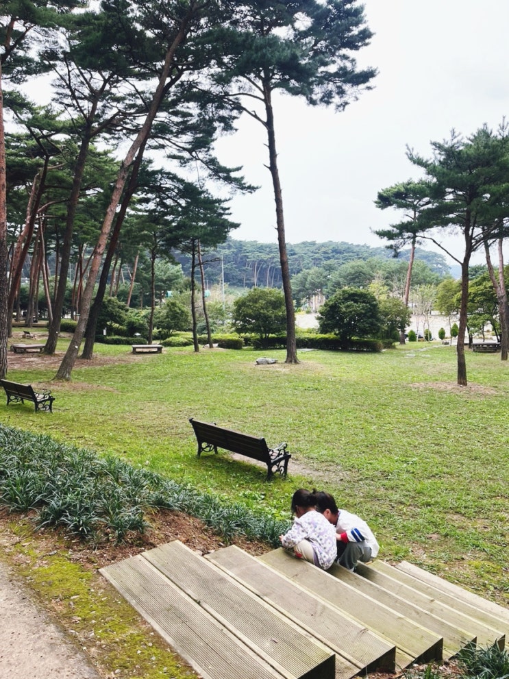 태안 안면도 안면도 가볼만한 곳. 아이와 함께 안면도 자연휴양림, 김추일 수제 돈까스. 태안 안면도 안면도 가볼만한 곳. 아이와 함께 안면도 자연휴양림, 김추일 수제 돈까스.