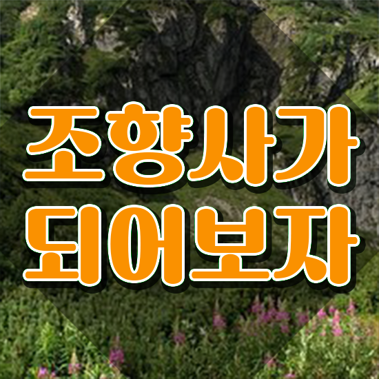  조향사클래스 , 조향사자격증 취득한 과정 및 학습과정