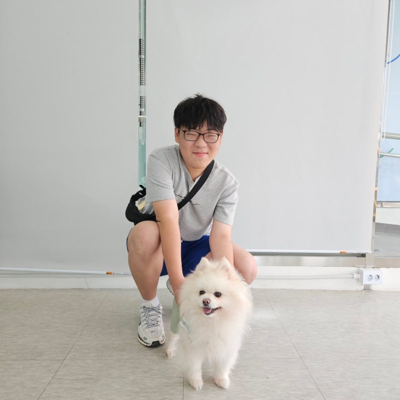 미사 강아지파양 무료입소 가능한 보호소