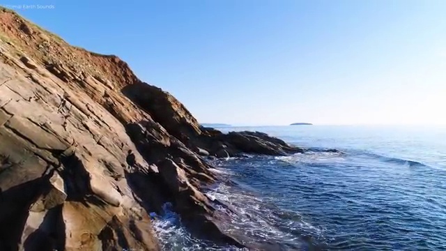  아파트 경매 권리분석 , 동영상으로 부동산권리분석사 준비 과정 확인하고 가세요
