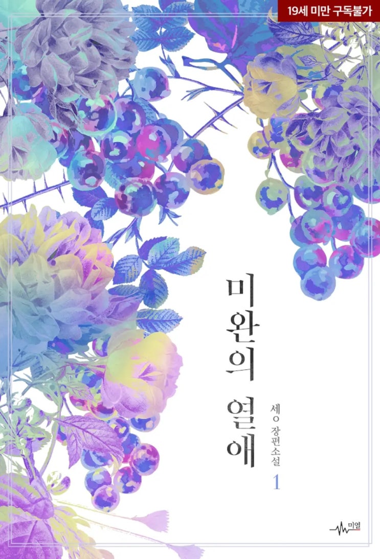 BL소설 리뷰) 세o-미완의 열애 BL소설 리뷰) 세o-미완의 열애