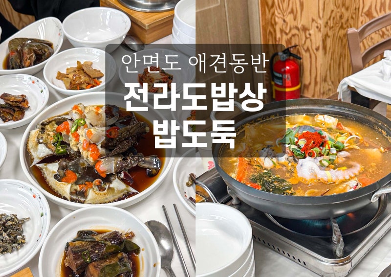사진 5