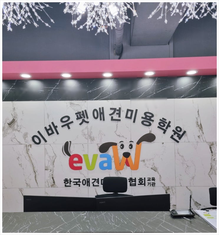  경기 광주 애견미용학원 올바른 교육은 미래를 결정합니다