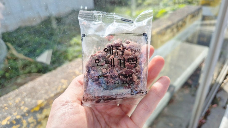  제주도 오메기떡 맛집 예담떡집