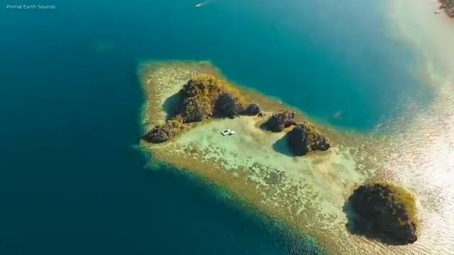  1급아동음악심리상담사자격증학원 , 15일 만에 아동음악심리상담사자격증 준비한 방법