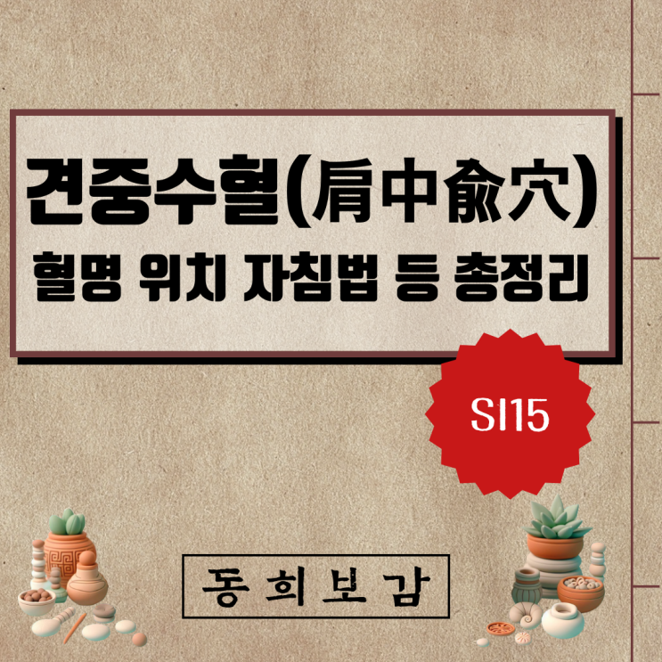  견중수혈(肩中兪穴), SI15, 혈명 위치 자침법 등 총정리